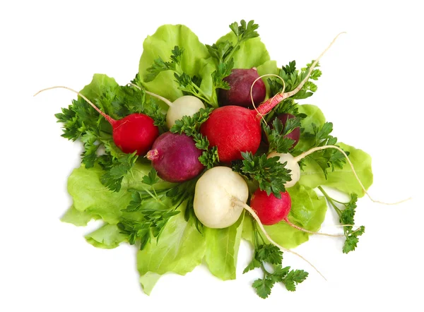 Verduras saborosas frescas e rabanete — Fotografia de Stock