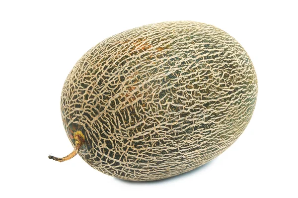 Kantaloupe-Melone — Stockfoto
