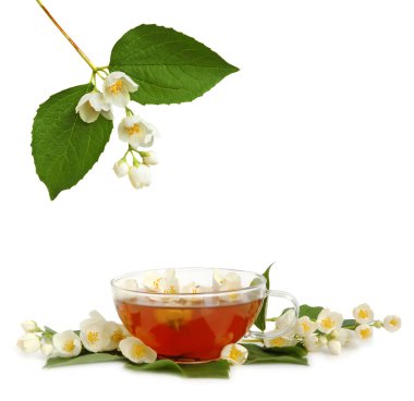 Jasmine tea clipart