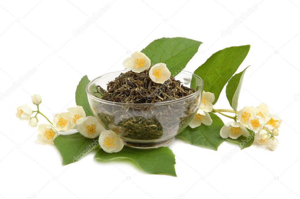 how-to-dry-jasmine-flowers-for-tea-best-flower-site