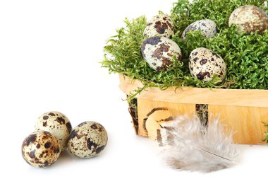 Quail eggs clipart