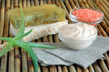 Spa ingredients with aloe vera clipart