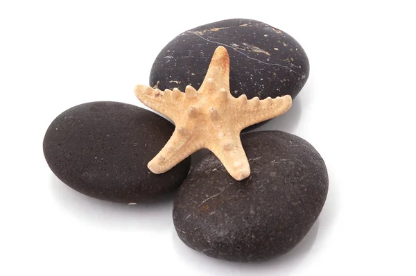 Спа-камни и морская звезда — стоковое фото