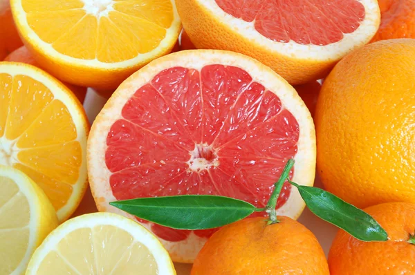 Hoop van citrusvruchten — Stockfoto