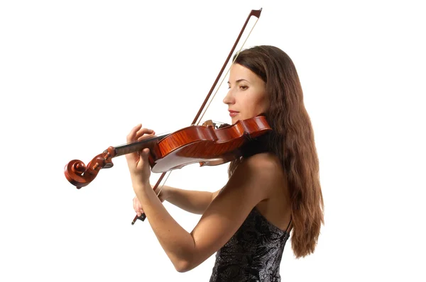 Bellissimo violinista — Foto Stock