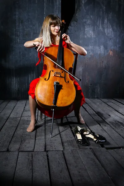 아름 다운 첼로 음악가 — 스톡 사진