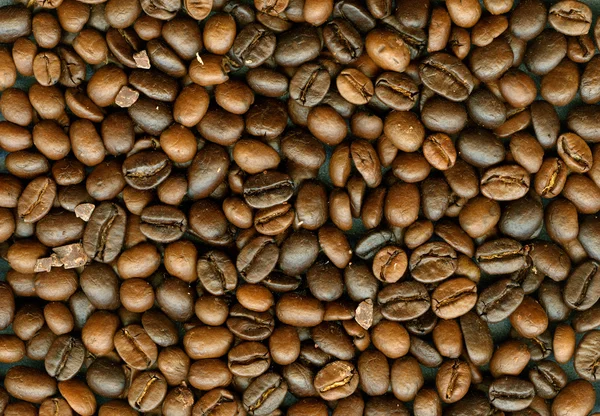 Koffie bonen achtergrond — Stockfoto