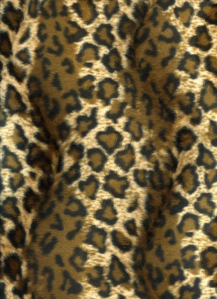 Leopard achtergrond — Stockfoto