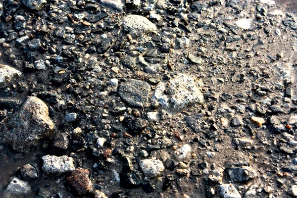湿卵石 — 图库照片