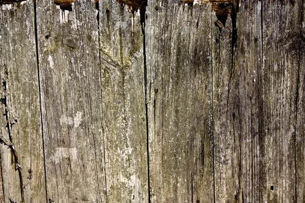 旧木制栅栏 — 图库照片