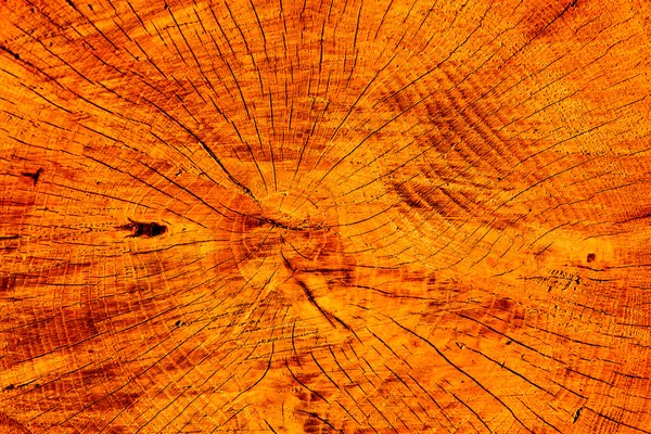 木の質感 — ストック写真