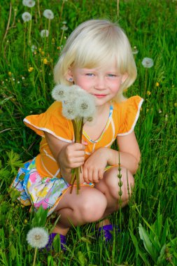 dandelions ile küçük kız