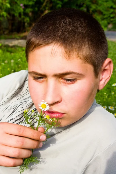 Guy čichání sedmikrásky — Stock fotografie