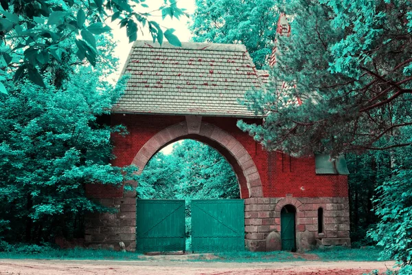 Forest gate — Zdjęcie stockowe