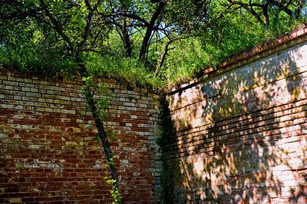 Kąt ściany — Zdjęcie stockowe