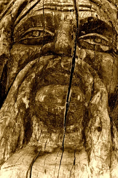 Дерев'яний ідол крупним планом монохромний — стокове фото
