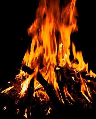 Bonfire clipart