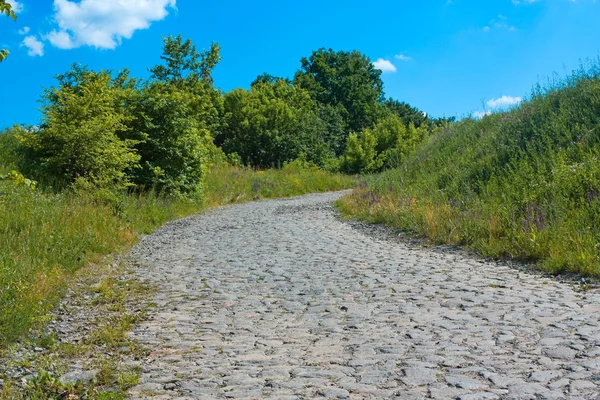 stock image Old road