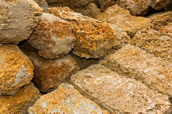 貝殻石灰岩 — ストック写真