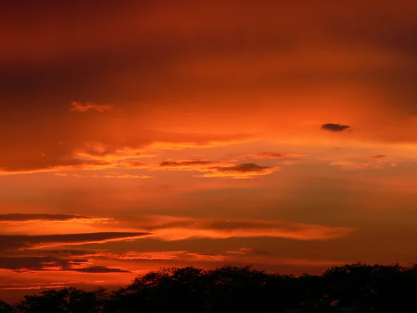 Afro sunset — Stockfoto