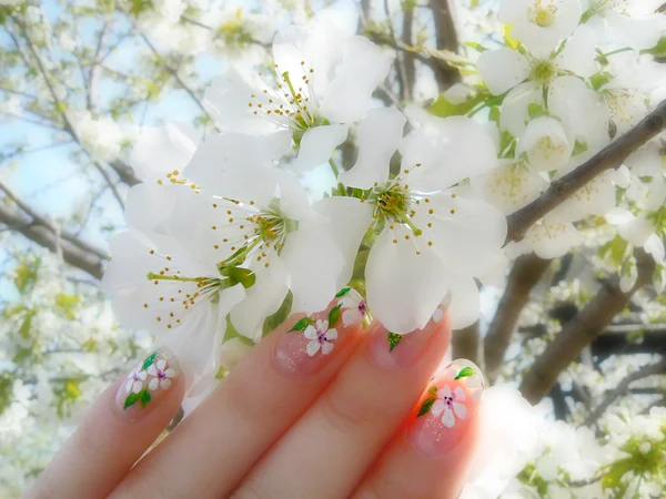 Nails on the blossom — Stock Photo, Image
