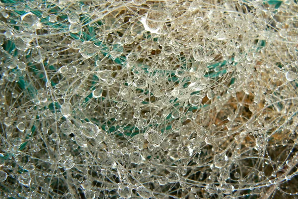Drops on netting — Stock Photo, Image
