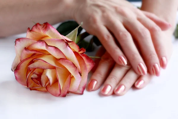 Handen met manicure horen de roos — Stockfoto