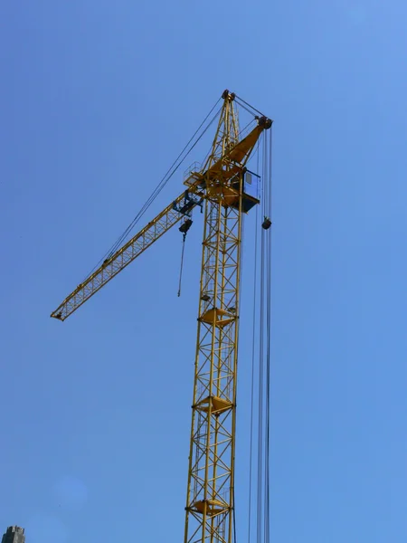 stock image Crane