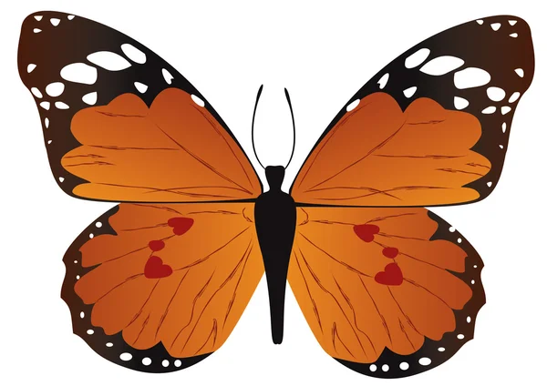 Orange fjäril — Stock vektor