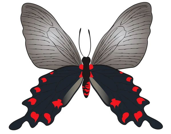 Negro con mariposa roja — Vector de stock