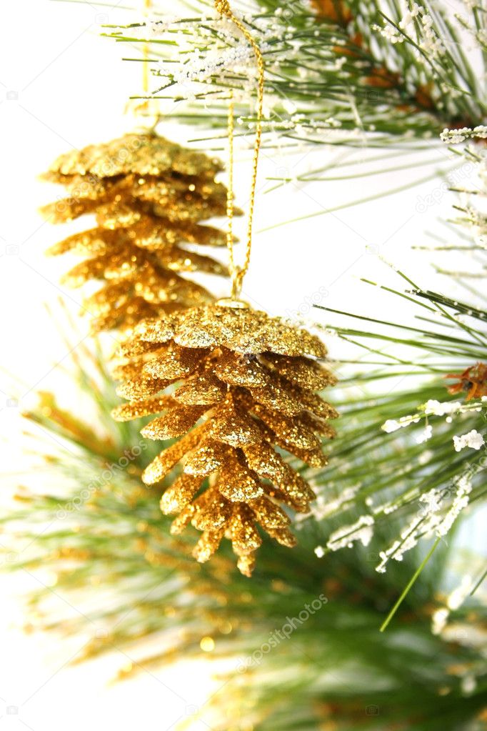 christmas background with pine cone 