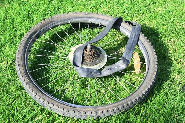 Rueda Bicicleta Con Neumático Fotos de stock