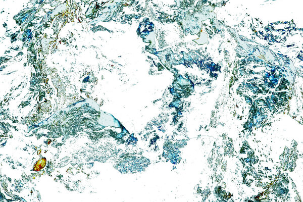 Dry wood texture abstract