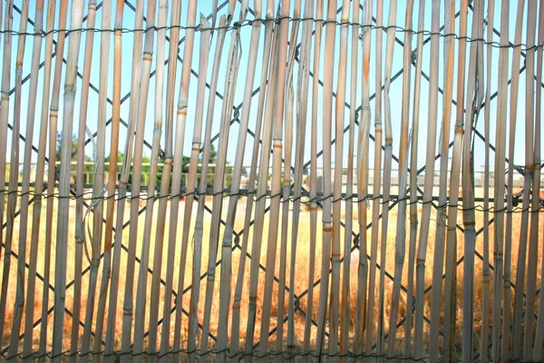 Bambusz kerítés — Stock Fotó