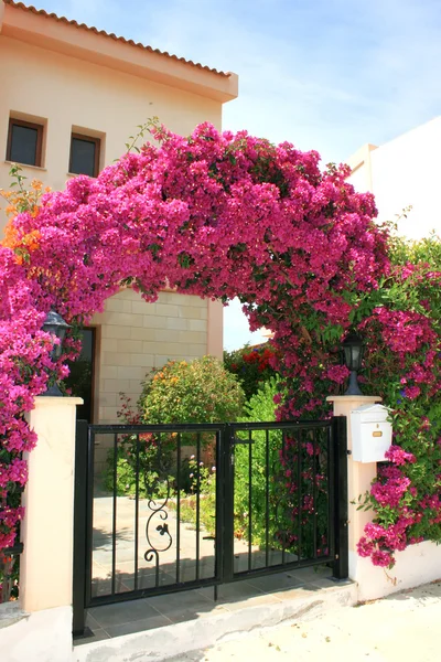 Arco de flores na casa — Fotografia de Stock