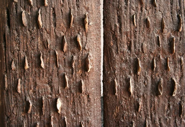 Parede de placas de madeira vintage — Fotografia de Stock
