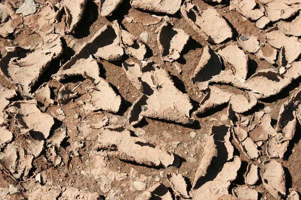 stock image Cracked mud