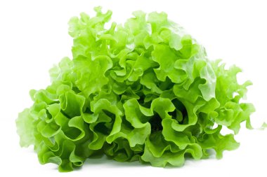 lettuce isolated on white background  clipart