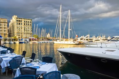 yachts and boats in a port in the city of monaco  clipart