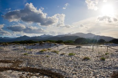 beach and sand in sardinia  clipart