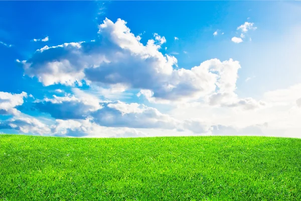 Green Field Sky — Stock Photo, Image