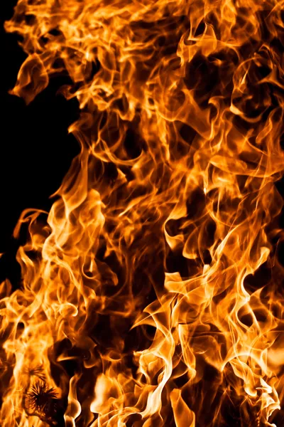 Eld Lågor Isolerade Svart — Stockfoto