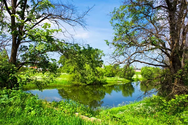 beautiful landscape with river and trees in spring 