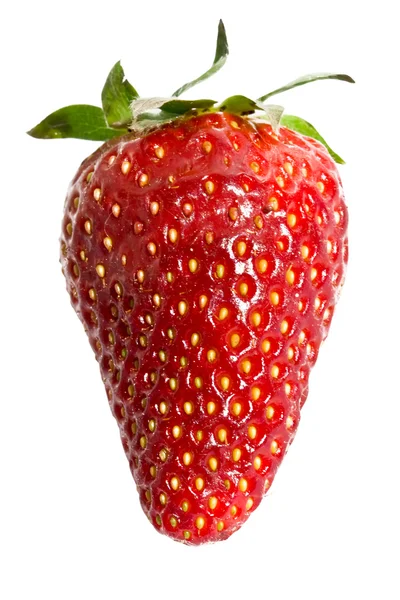 草莓查出的白色与修剪路径 — 图库照片