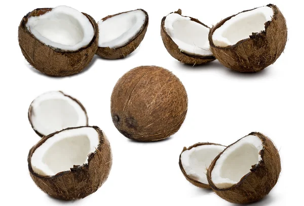 Coconut Isolated White Background Clipping Path Full Depth Field Top — Fotografia de Stock
