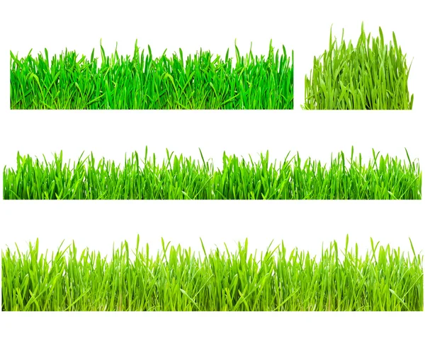 Set Green Grass Isolated White —  Fotos de Stock
