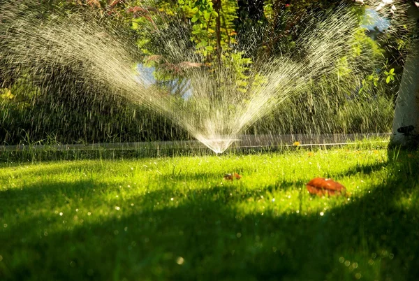 Sprinkler Watering Lawn Garden Selective Focus — Stock Photo, Image