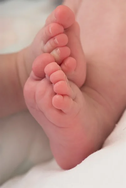 Nyfödda fötter — Stockfoto