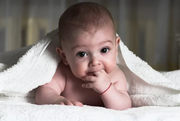 ラップトップの赤ちゃん — ストック写真