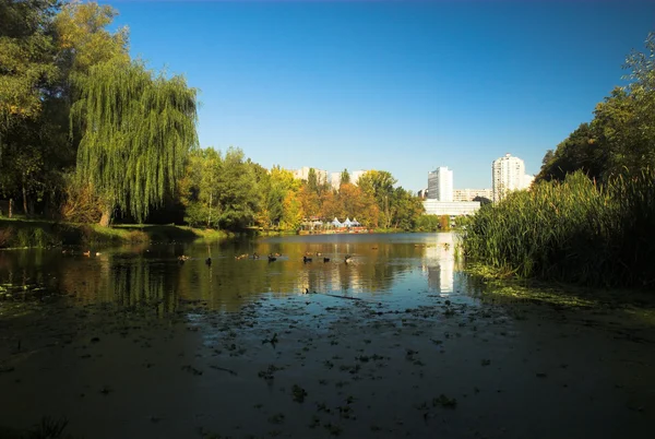 stock image City pond